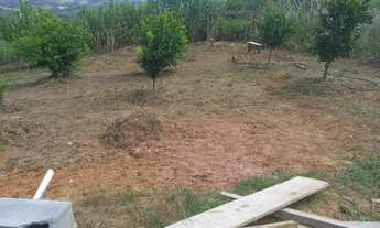 Imagem 5: Vendo chácara com ecasa e piscina nova em ótimo lugar