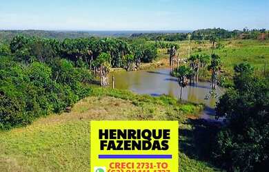 Imagem 5: Fazenda 147 alqueires (712 hectares). Município Wanderlândia Tocantins