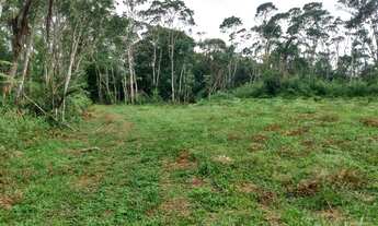 Imagem 7: Terreno 1000 metros Piedade sp