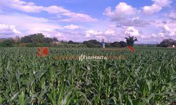 Imagem 5: Chácara com 1 dormitório à venda, 20166 m² por R$ 2.200.000,00 - Gleba Ribeirão Cafezal