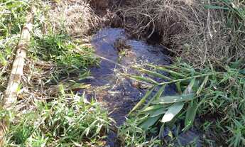 Imagem 6: Sítio em Ibiraci-mg