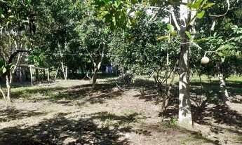 Imagem 6: Fazenda/Sítio/Chácara para venda possui 80 metros quadrados com 1 quarto