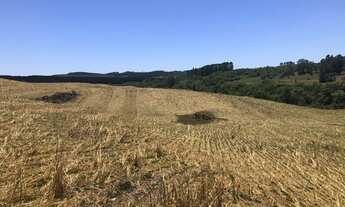 Imagem 4: 122has para plantio de soja