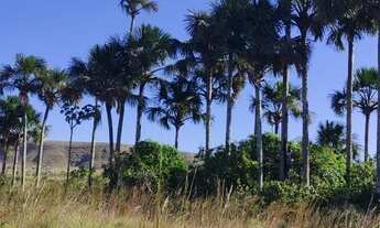 Imagem 7: Chácara Vale Verde - Próximo a Pousada Woodstock e Inácia - Alto Paraíso de Goiás