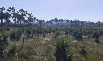 Imagem 5: Chácara Vale Verde - Próximo a Pousada Woodstock e Inácia - Alto Paraíso de Goiás