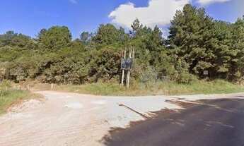 Imagem 3: Área à venda, 19857 m² por R$ 1.450.000,00 - Jardim São Vicente - Campo Largo/PR