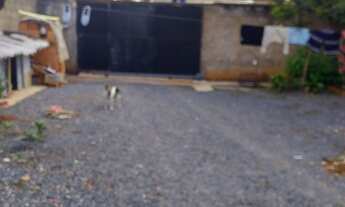 Imagem 3: Casa avenda Casa em condomínio com 3 dormitórios