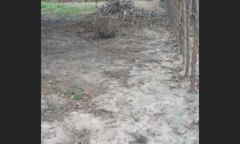 Imagem 4: Sitio Chácara com venda por R$150.000