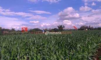 Imagem 3: Chácara com 1 dormitório à venda, 20166 m² por R$ 2.200.000,00 - Gleba Ribeirão Cafezal