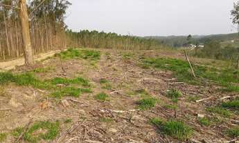 Imagem 5: Sitio 4 alqueires Pilar do sul sp