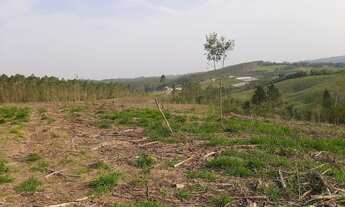 Imagem 3: Sitio 4 alqueires Pilar do sul sp