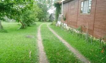 Imagem 2: Chácara com 7 hectares em Glórinha