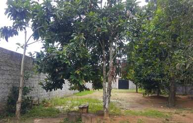 Imagem 4: Casa para venda possui 150 metros quadrados com 2 quartos em Nova Cidade - Manaus - AM