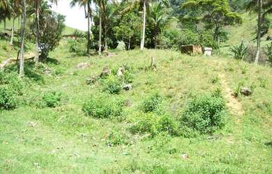 Imagem 7: Bom sítio em Guarapari