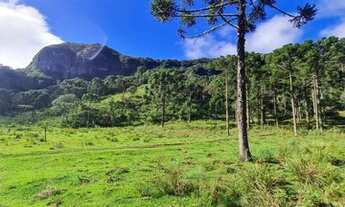 Imagem 5: Francisco Krtiscka Corretor de Imóveis