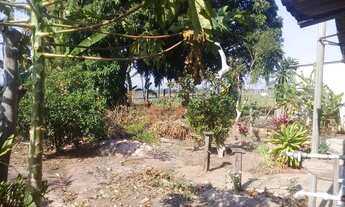 Imagem 6: Chácara com 2 dormitórios à venda, 819 m² por R$ 222.000,00 - Área Rural de Artur Nogueira