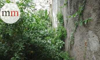 Imagem 5: Excelente terreno!