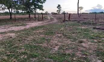 Imagem 5: FAZENDA BEIRA DE RIO 84 HA