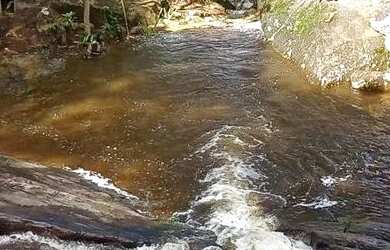 Imagem 7: Fazenda com 68 hectares, há 1km da BR 030 , composta por cacau, pasto, mata e muita água