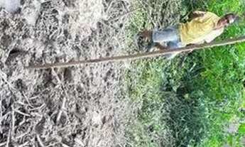 Imagem 5: Imóvel Terreno / lote com venda por R$60.000