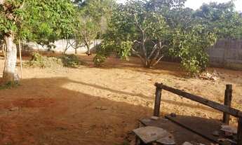 Imagem 6: Sítio à venda em Caldas Novas/GO