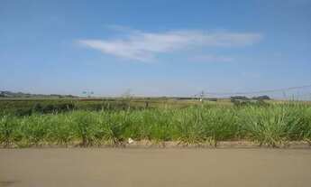 Imagem 1: Venda - Terreno Industrial - Centro Industrial e TecnolÃ³gico de Santa BÃ¡rbara D Oeste