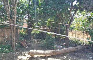 Imagem 2: Lote com casa Casa com 1 dormitório