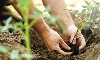 Imagem: Lote/Terreno para venda possui 20000 metros