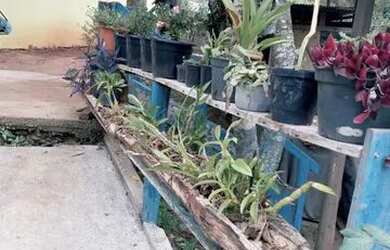 Imagem 7: Sítio em domingos Martins