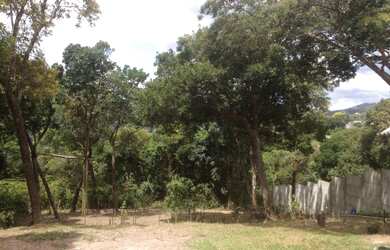 Imagem 5: Terreno 1000 metros para chácara em Mairiporã