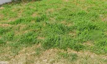 Imagem 2: R$ 300.000,00, LOTE 380 mts, Fausto Pinto