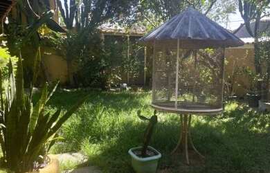 Imagem 5: Casa para alugar Anil Jacarepaguá