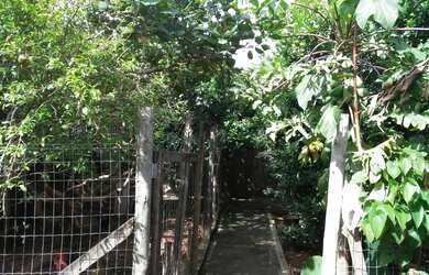 Imagem 13: Casa Casa com 3 dormitórios