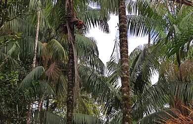 Imagem 6: Vendo casa em bom jardim da barreta