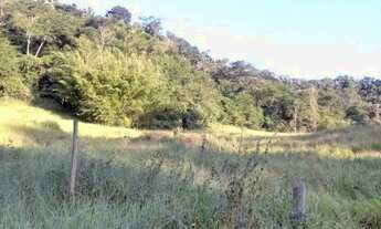 Imagem 6: Três Chácaras,no Sítio Boa Vista, em Viçosa - MG