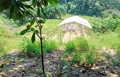 Imagem 5: CASA COM SÍTIO Chácara com venda por R$200.000