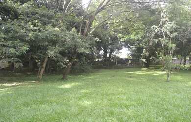 Imagem 5: Excelente chácara para morar, 9.237,48 m², casa com 250 m². Vl. Morais, divisa com Jd. Nov