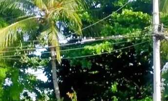 Imagem: Casa para aluguel com 150 metros quadrados