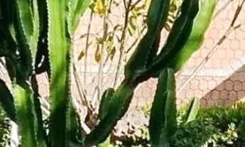 Imagem 3: Excelente casa 03 qtos 04 vgs de garagem em Centro - Nilópolis - RJ