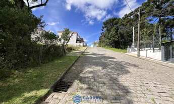 Imagem 5: No Villa Alpina terreno com 420m² Caxias do Sul