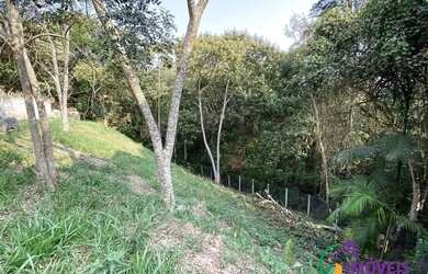 Imagem 4: AREA - CHÁCARA MOINHO VELHO - SP