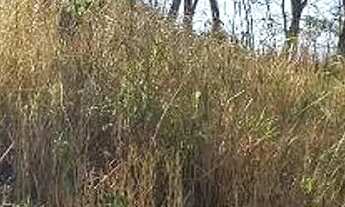 Imagem: Excelente chácara a Venda com 30.000M2