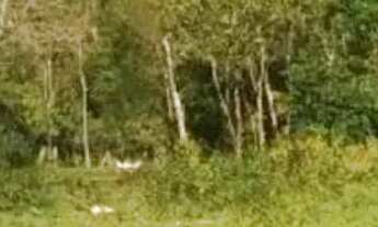 Imagem 4: AREA - JARDIM LÍGIA - SP