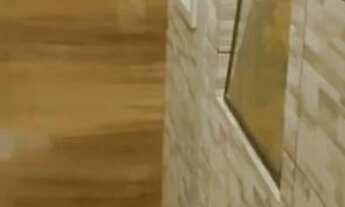 Imagem 5: Chácara escriturada em Nova Petrópolis São Gabriel de Goiás (Planaltina/GO