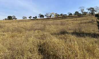 Imagem 6: Fazenda 77 alqueires em Goiás velho-GO