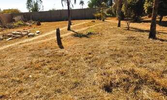 Imagem 3: Lote 26 de setembro