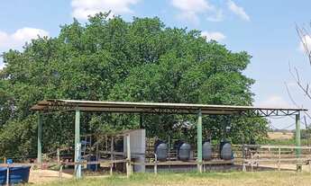 Imagem 7: Sítio Chácara com venda por R$1.500.000