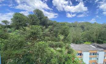 Imagem 2: Apartamento em Petrópolis, quarto e sala