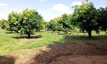 Imagem 5: Vende se sítio Chácara com venda por R$4.000.000