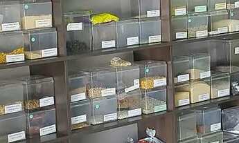 Imagem 3: Loja de produtos naturais